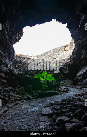 Ausgang aus der Höhle. Licht am Ende des Tunnels Stockfoto