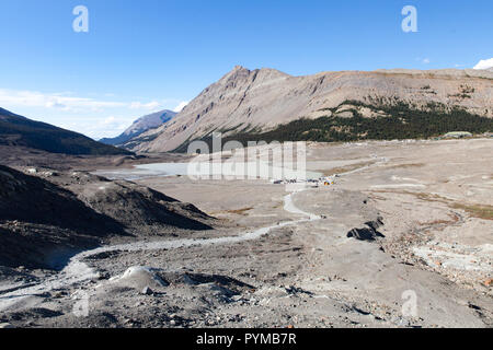 Schmelzwasserstrom vom Athabasca Glacier, Alberta, Kanada Stockfoto