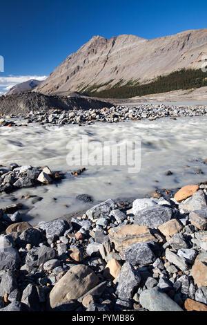 Schmelzwasserstrom vom Athabasca Glacier, Alberta, Kanada Stockfoto