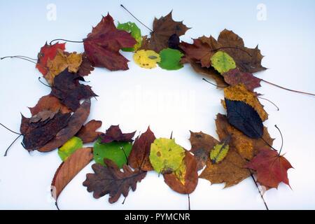 Blätter im Herbst framing leere weiße Platz für Text Stockfoto