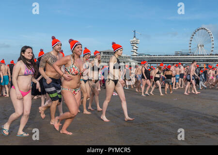 SCHEVENINGEN, 1. Januar 2018 - Gruppe der Niederländischen Damen zurück in die Umkleidekabine nach dem ersten Bad im eisigen Norden Meer Wasser, Unten Stockfoto