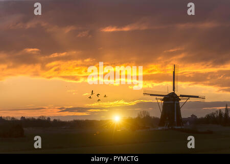 Warme und lebendige Sonnenaufgang über dem Unesco Welterbe Windmühle in Leidschendam, Kinderdijk, Niederlande Stockfoto