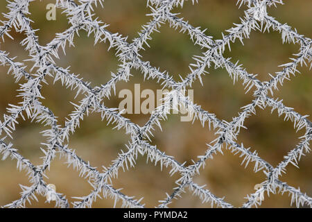 Ice Crystal auf Maschendrahtzaun im Winter, Land Brandenburg, Deutschland Stockfoto