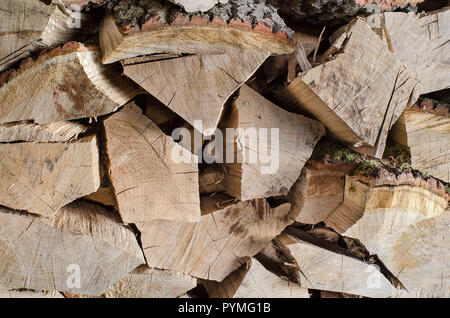 Gebrochene Bäume bereit für den Winter. Holz für Kamin verwendet. Holz verwendet, warmes Zuhause und Menschen, die während der kalten Jahreszeit. Stockfoto