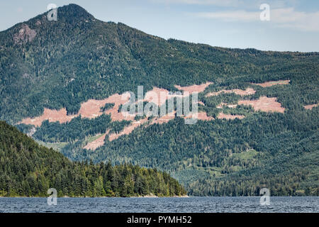 Ein großer Teil von einem steilen Berghang an der Küste British Columbia Einlass hat durch Logging, verlassen sehr gut sichtbare, klare Patches gezeichnet worden. Stockfoto