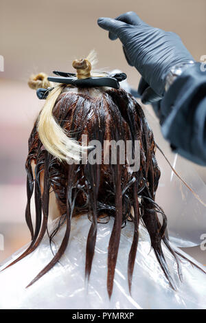 Friseur färbt die Haare an den Client im Friseursalon Stockfoto