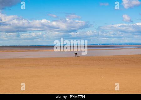 Mann Graben für Angeln Köder auf Strand Stockfoto