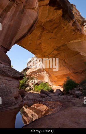 Kachina Bridge in Natural Bridges National Monument, Utah, USA Stockfoto