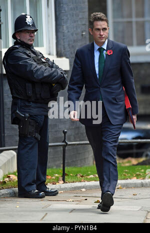 Verteidigungsminister Gavin Williamson kommt in Downing Street, London, für eine Sitzung. Stockfoto