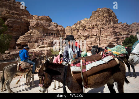 Bedouin Männer und Jungen neigen dazu, ihre Esel, Pferde und Kamele, Fahrten für Touristen in der Petra Archäologischen Park zu bieten, in Jordanien am 29. Oktober 2018 Stockfoto