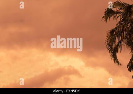 Fiery orange sky vor schwerem Regen. Stockfoto