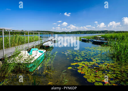 Die großen Pönitzer See in Schleswig - Holstein, Deutschland, Europa, der Große Pönitzer See in Schleswig-Holstein, Deutschland, Europa Stockfoto