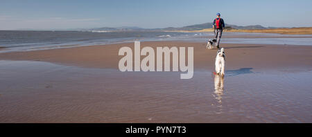 Wanderer mit Hund wandern im Solway Firth Küste Position entlang zu Mersehead Naturschutzgebiet von Southerness, Schottland, Großbritannien Stockfoto