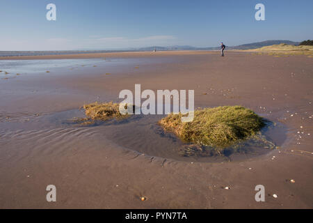 Wanderer mit Hund wandern im Solway Firth Küste Position entlang zu Mersehead Naturschutzgebiet von Southerness, Schottland, Großbritannien Stockfoto