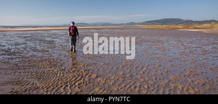 Wanderer mit Hund wandern im Solway Firth Küste Position entlang zu Mersehead Naturschutzgebiet von Southerness, Schottland, Großbritannien Stockfoto