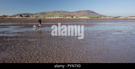 Wanderer mit Hund wandern im Solway Firth Küste Position entlang zu Mersehead Naturschutzgebiet von Southerness, Schottland, Großbritannien Stockfoto