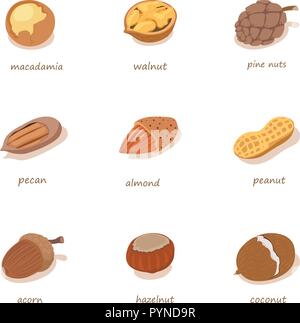 Nussbaum Symbole gesetzt, isometrische Stil Stock Vektor