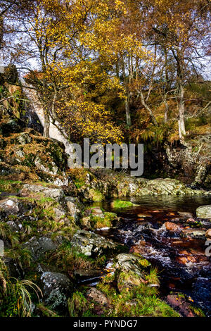 Herbst im Linhope Auswurfkrümmer Wasserfall, hoch in den Breamish Tal in Northumberland National Park Stockfoto