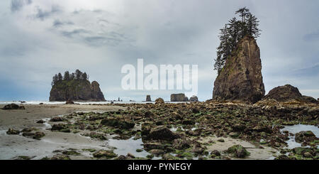 Zweiten Strand Panorama mit dem weinenden Dame Rock Meer im Hintergrund stack, Olympic Peninsula, Washington State, USA. Stockfoto