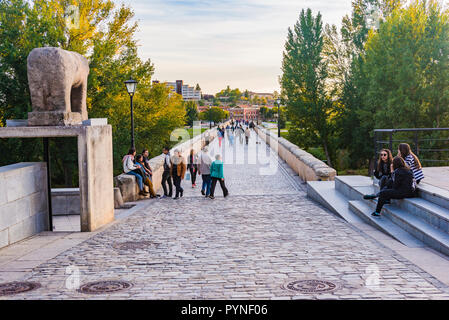 Römische Brücke über den Fluss Tormes, zunächst den Stier verraco. Salamanca, Castilla y Leon, Spanien, Europa Stockfoto