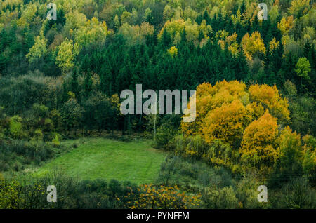 Herbst Wald Texturen - in der slowakischen Berge! Stockfoto