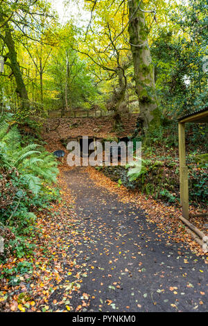 Waldwege. Kürbisfest, Dekan Heritage Center, Wald von Dean. Stockfoto