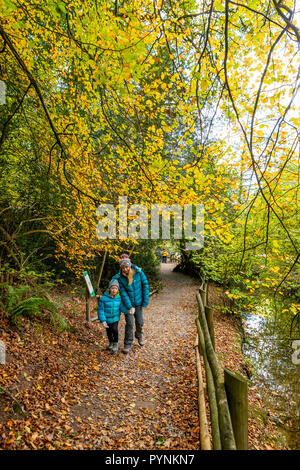 Waldwege. Kürbisfest, Dekan Heritage Center, Wald von Dean. Stockfoto