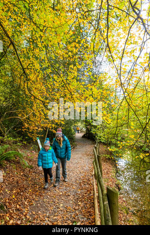 Waldwege. Kürbisfest, Dekan Heritage Center, Wald von Dean. Stockfoto