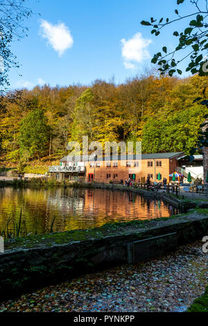 Mühle und Mühlenteich. Kürbisfest, Dekan Heritage Center, Wald von Dean. Stockfoto