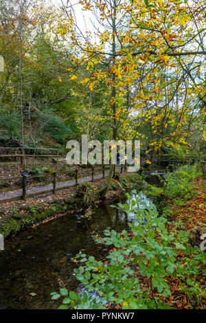 Waldwege. Kürbisfest, Dekan Heritage Center, Wald von Dean. Stockfoto