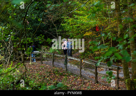 Waldwege. Kürbisfest, Dekan Heritage Center, Wald von Dean. Stockfoto