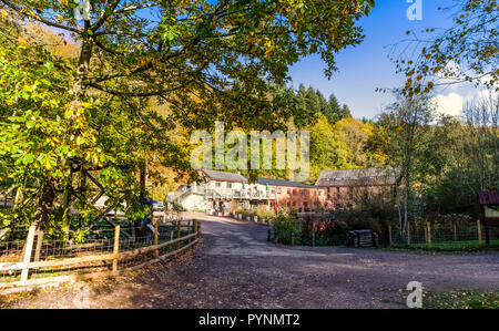 Kürbisfest, Dekan Heritage Center, Wald von Dean. Stockfoto