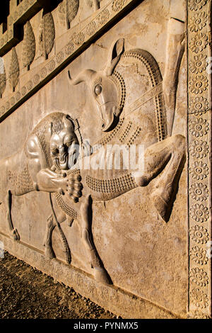 Relief des Menschen Der Achaemenian Empire steigen Sie die Treppe Persepolis, Iran. Stockfoto