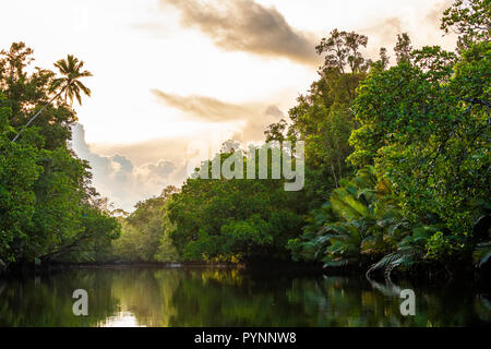 Sunsrise über Regenwald und Kanal in der Aru Insel Maluku Archipel, Papua, Indonesien Stockfoto