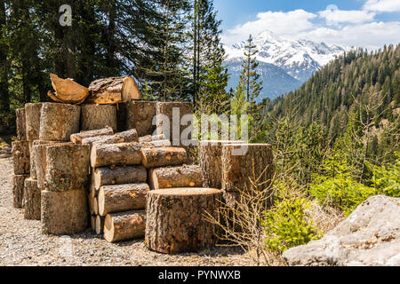 Stapel der Protokolle in der Nähe von Wanderweg in der Nähe von Wiesen in der Schweiz Stockfoto