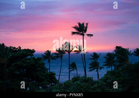 Palmen in Silhouette vor dem Pink und Lila Sonnenuntergang Himmel mit Sonne versinkt am Horizont der Ozean Stockfoto