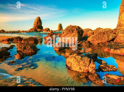 Goldenen Licht des frühen Morgens Sonne reflektieren und die Schätze innerhalb der Tide pool offenbaren durch den zurückweichenden Wasser an der Basis von Haystack Rock links ein Stockfoto