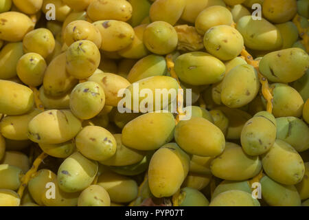 August 11, 2018 - Closeup, reife, gelbe Früchte Termine auf dem Palm. Hintergrund gelbe Früchte Termine (Credit Bild: © Andrey Nekrasov/ZUMA Draht) Stockfoto