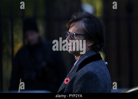 Robert Peston, ITV politischen Editor) in Downing Street, bevor Philip Hammond, der Schatzkanzler, hält die roten Haushalt außerhalb der Nummer 11 Downing Street vor Anlieferung von seinem Haushalt Rede im Unterhaus auf den Haushalt Tag, Downing Street, London, Großbritannien, 29. Oktober 2018. Stockfoto