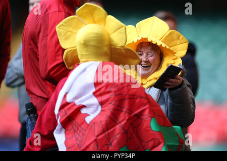 Cardiff, Großbritannien. 29 Okt, 2018. Wales Fans. Wales Rugby Team Training im Fürstentum Stadium in Cardiff, South Wales am Montag, den 29. Oktober 2018. Das Team der Vorbereitung für ihre erste Herbst internationale Reihe Match gegen Schottland dieses Wochenende sind. pic von Andrew Obstgarten/Alamy leben Nachrichten Stockfoto