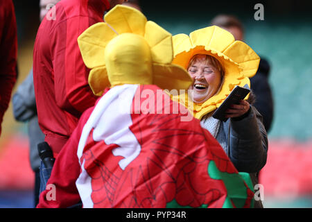 Cardiff, Großbritannien. 29 Okt, 2018. Wales Fans. Wales Rugby Team Training im Fürstentum Stadium in Cardiff, South Wales am Montag, den 29. Oktober 2018. Das Team der Vorbereitung für ihre erste Herbst internationale Reihe Match gegen Schottland dieses Wochenende sind. pic von Andrew Obstgarten/Alamy leben Nachrichten Stockfoto