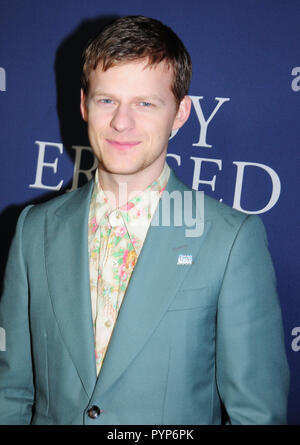 LOS ANGELES, Ca - 29. Oktober: Schauspieler Lucas Hecken die Premiere von Focus Features'' Junge besucht" am 29. Oktober 2018 An der Directors Guild of America in Los Angeles, Kalifornien gelöscht. Foto von Barry King/Alamy leben Nachrichten Stockfoto