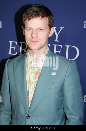 LOS ANGELES, Ca - 29. Oktober: Schauspieler Lucas Hecken die Premiere von Focus Features'' Junge besucht" am 29. Oktober 2018 An der Directors Guild of America in Los Angeles, Kalifornien gelöscht. Foto von Barry King/Alamy leben Nachrichten Stockfoto