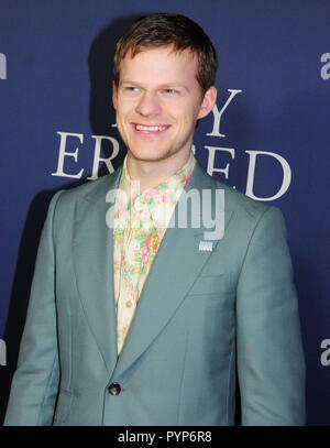 LOS ANGELES, Ca - 29. Oktober: Schauspieler Lucas Hecken die Premiere von Focus Features'' Junge besucht" am 29. Oktober 2018 An der Directors Guild of America in Los Angeles, Kalifornien gelöscht. Foto von Barry King/Alamy leben Nachrichten Stockfoto