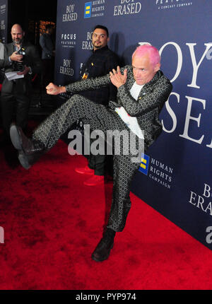 LOS ANGELES, Ca - 29. Oktober: Musiker Flea von den Red Hot Chili Peppers die Premiere von Focus Features'' Junge besucht" am 29. Oktober 2018 An der Directors Guild of America in Los Angeles, Kalifornien gelöscht. Foto von Barry King/Alamy leben Nachrichten Stockfoto