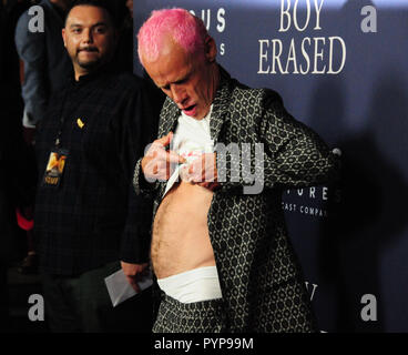 LOS ANGELES, Ca - 29. Oktober: Musiker Flea von den Red Hot Chili Peppers die Premiere von Focus Features'' Junge besucht" am 29. Oktober 2018 An der Directors Guild of America in Los Angeles, Kalifornien gelöscht. Foto von Barry King/Alamy leben Nachrichten Stockfoto