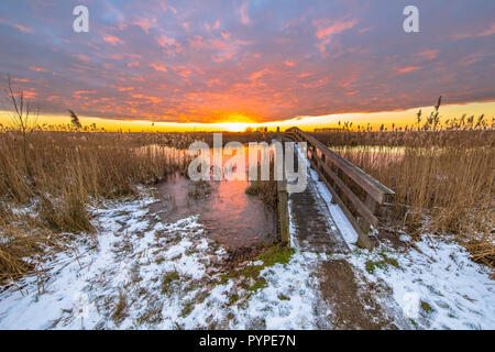 Winterlandschaft mit dünnen Schicht von Schnee auf Holz- wandern Brücke über Fluss in niederländisch Sumpf Stockfoto