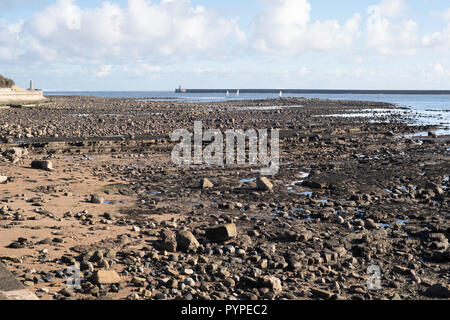 Die schwarze Muschelhaufen Felsen bei Ebbe in der Mündung des Tyne ausgesetzt, North Shields, North East England, Großbritannien Stockfoto