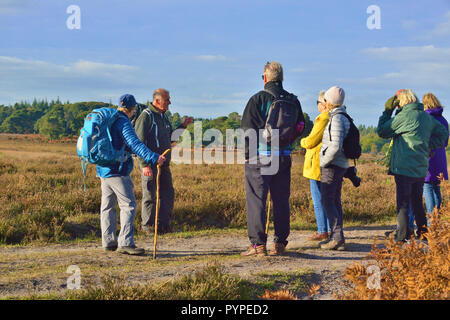 Offizielle Guide auf der New Forest National Park wandern - Festival erklären die Heide auf Whitefield Moor zu Wanderern auf Tour zu Fuß Stockfoto