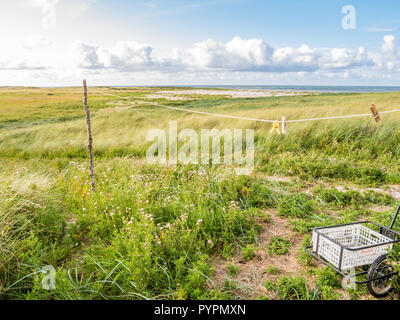 Dünenlandschaft der Nordseeküste mit Wäscheleine und Karre auf Boschplaat auf friesischen Insel Terschelling, Niederlande Stockfoto